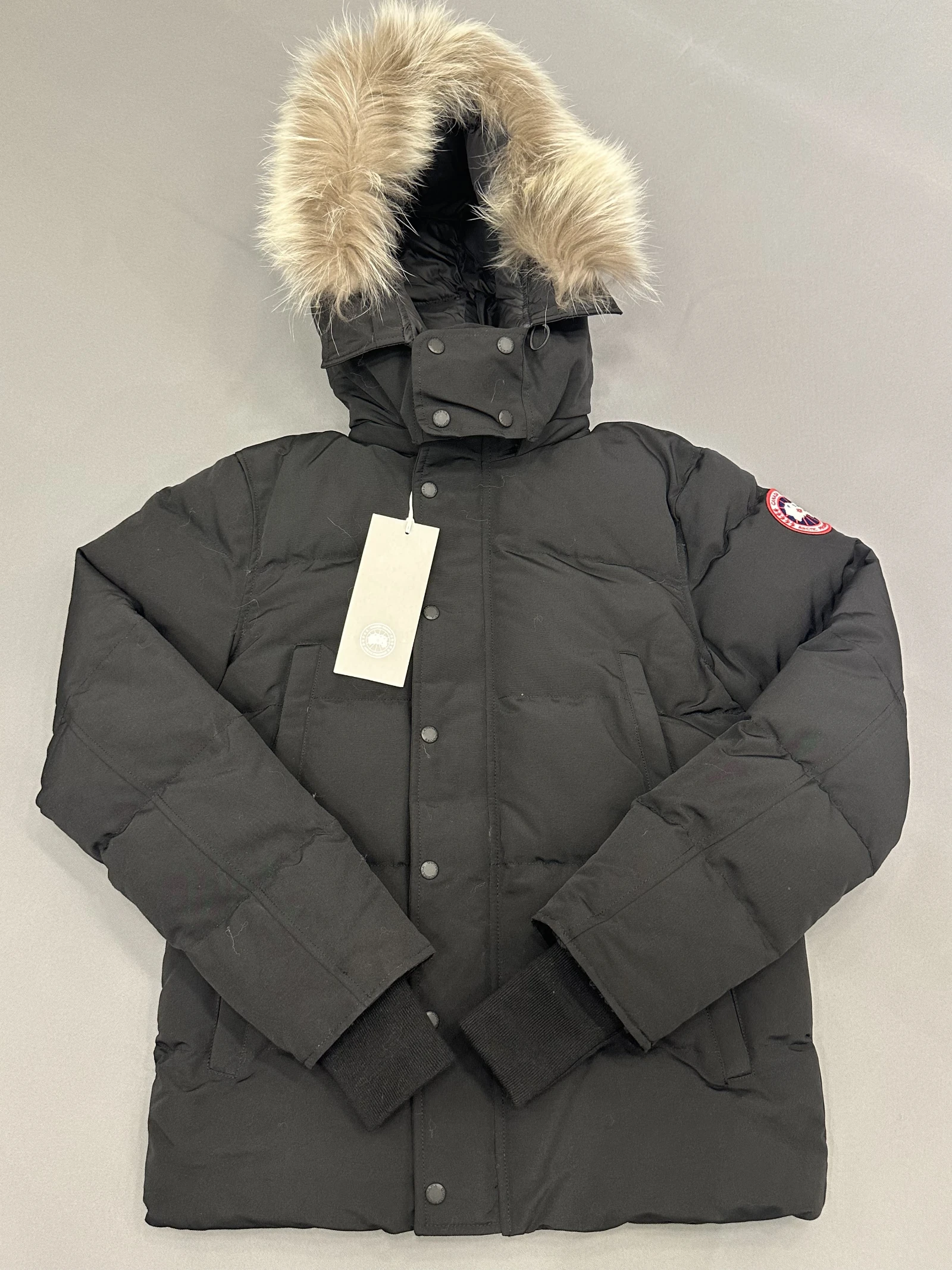 GAZELLE PORT 1048917