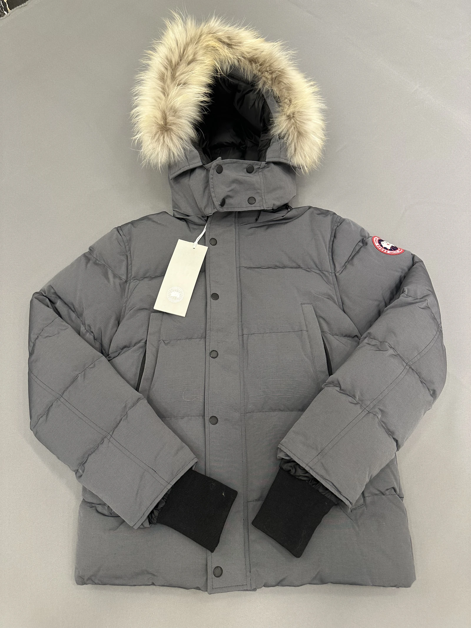 GAZELLE PORT 1049222