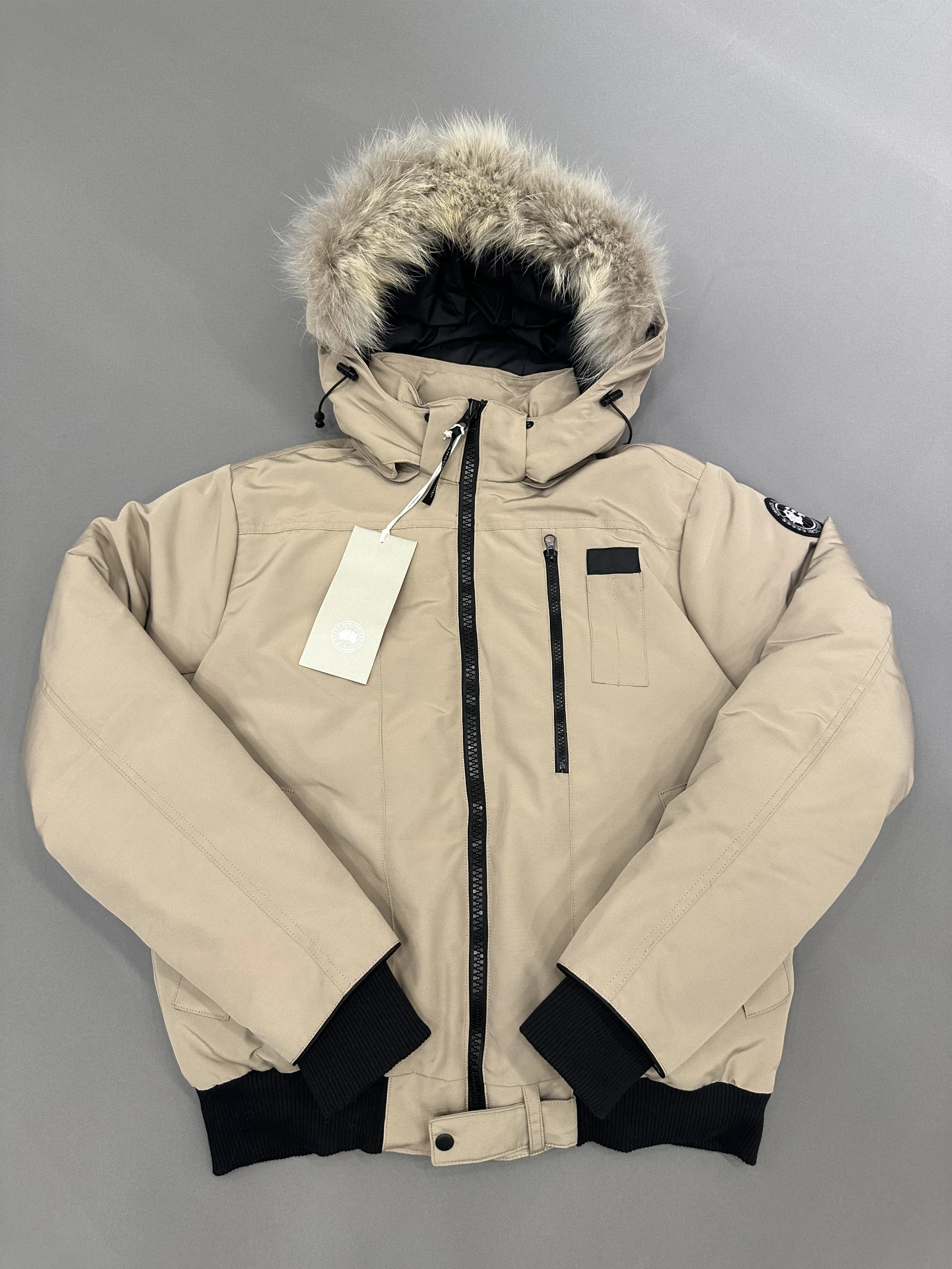 GAZELLE PORT 1049231