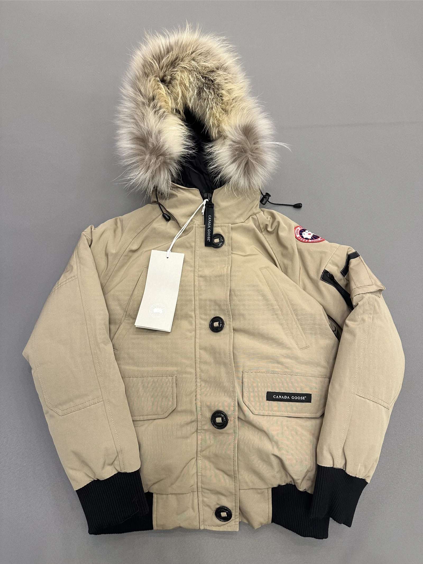 GAZELLE PORT 1050274