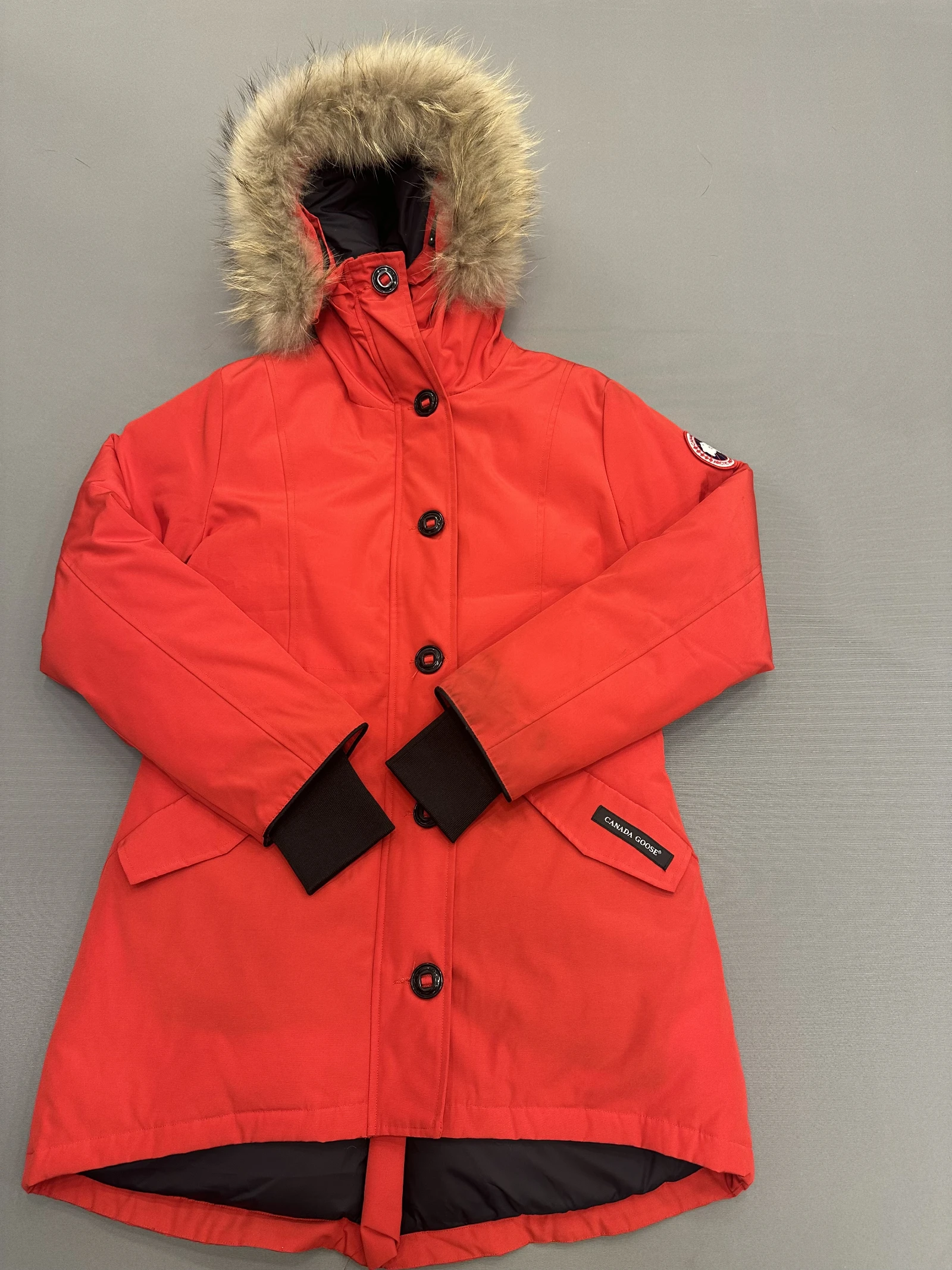 GAZELLE PORT 1050277