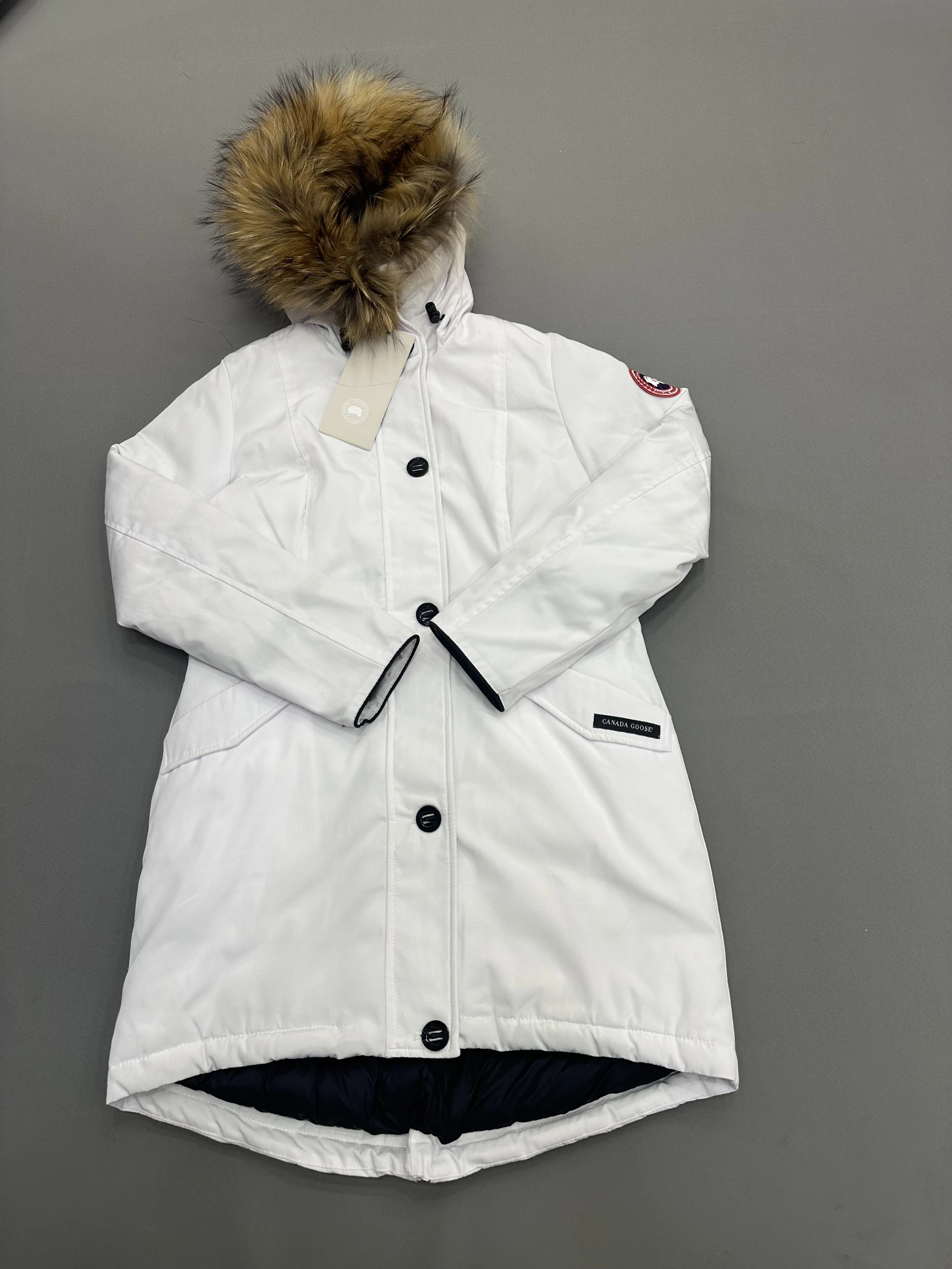 GAZELLE PORT 1050278