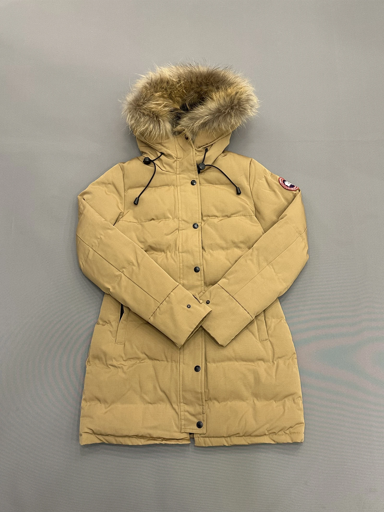 GAZELLE PORT 1050293