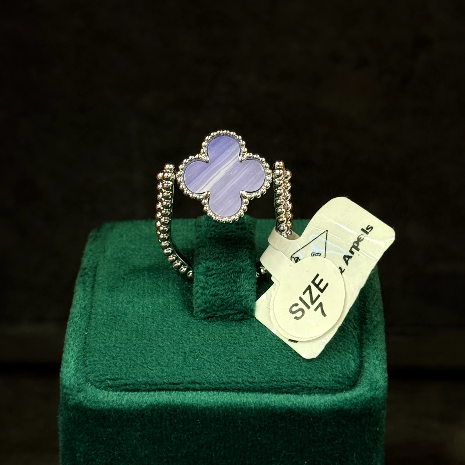 GAZELLE PORT 1053883