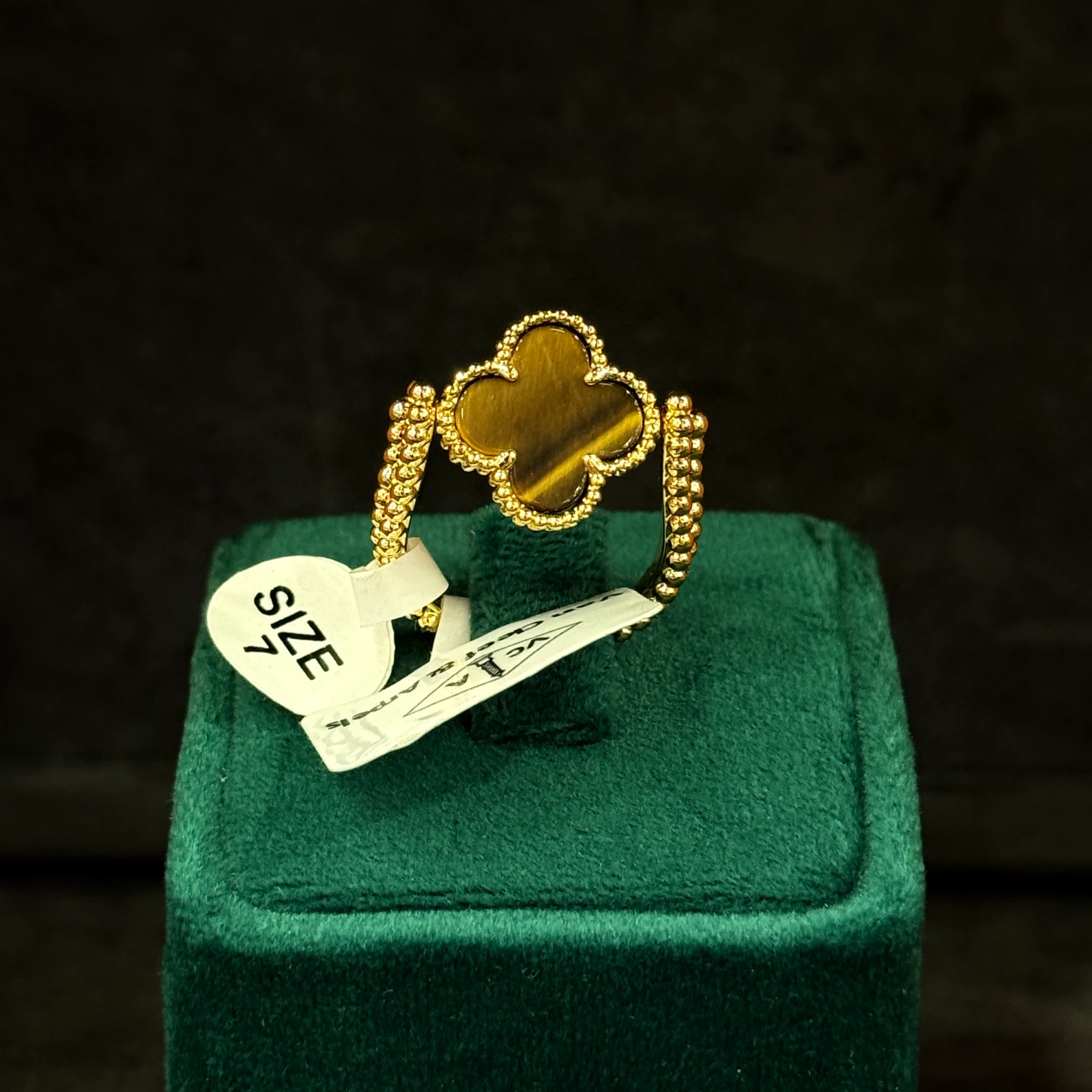 GAZELLE PORT 1053886