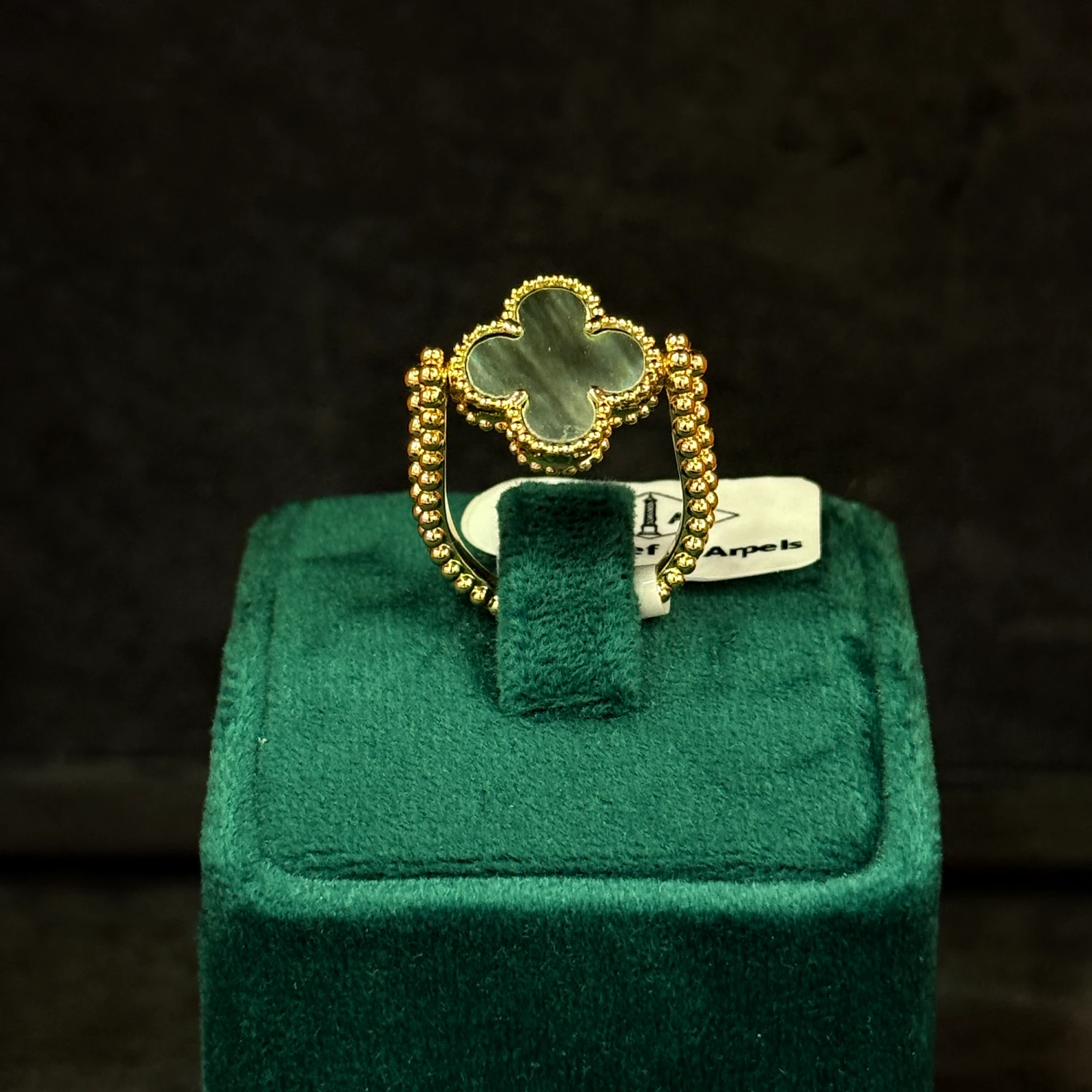 GAZELLE PORT 1053892