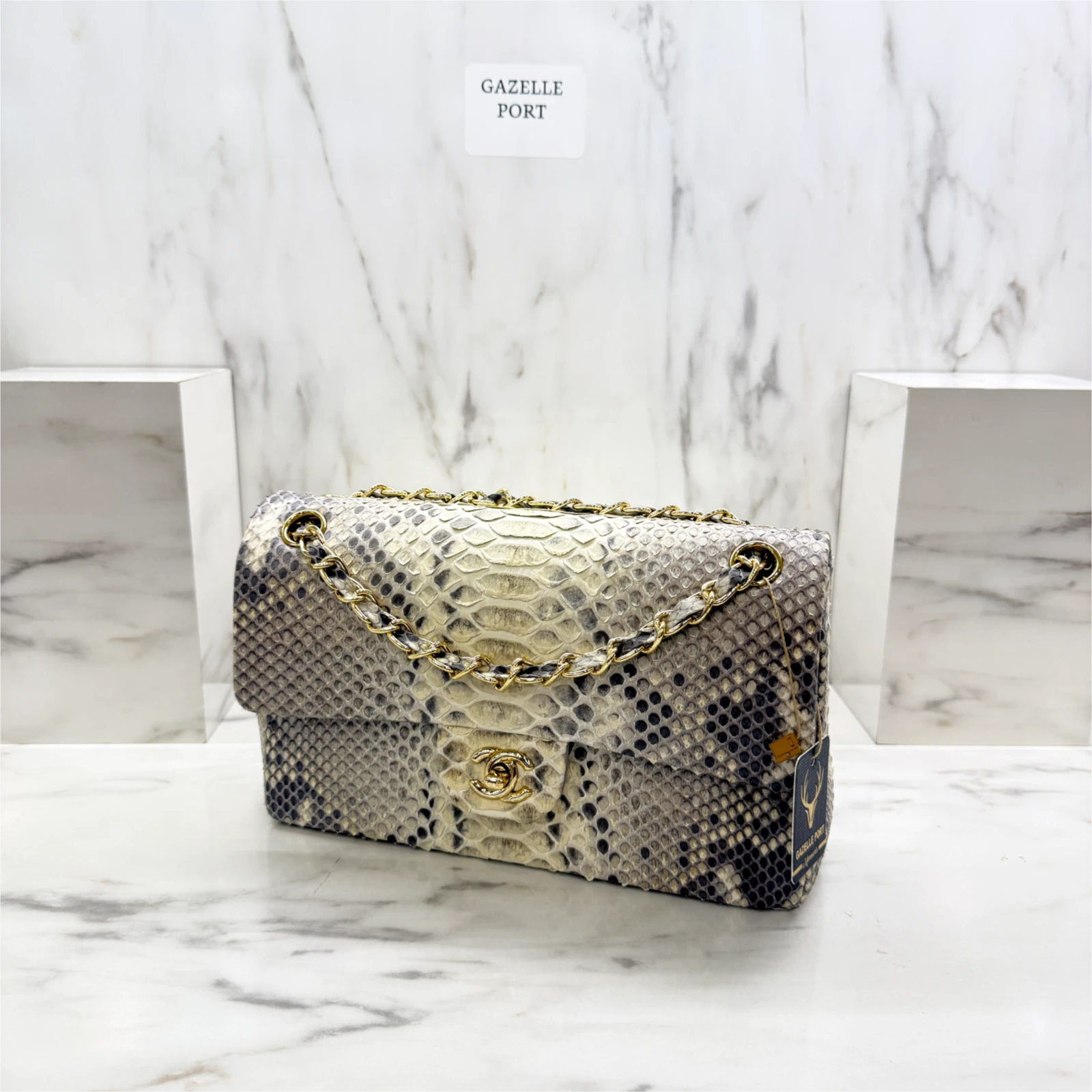 GAZELLE PORT 1054108